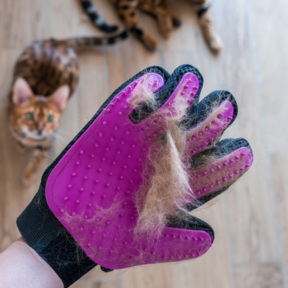 Pet Massage & Grooming Glove