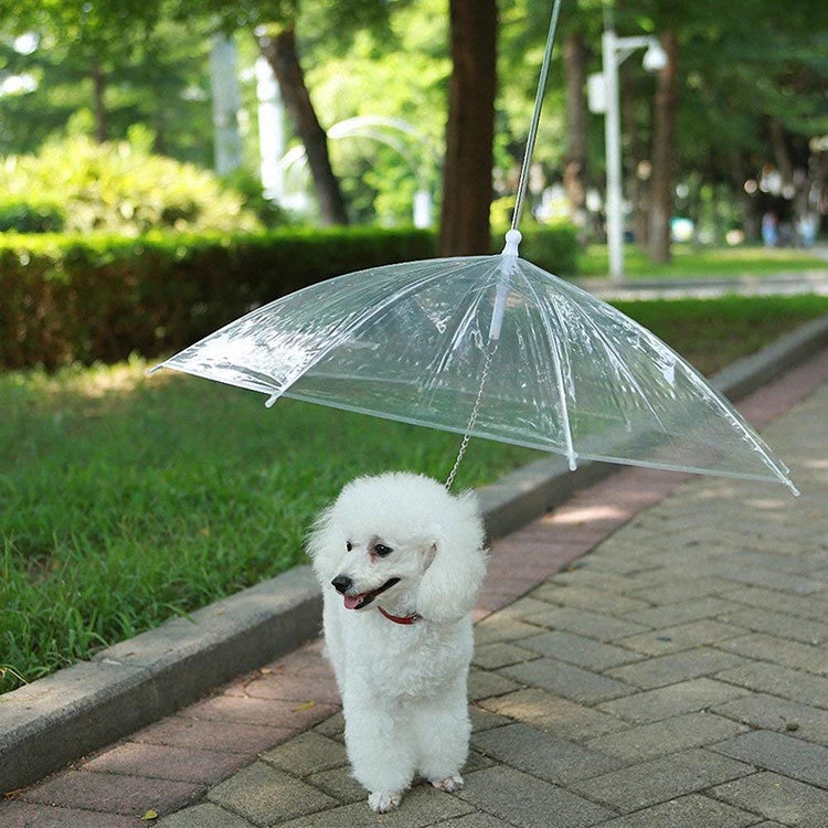 Transparent Pet Umbrella