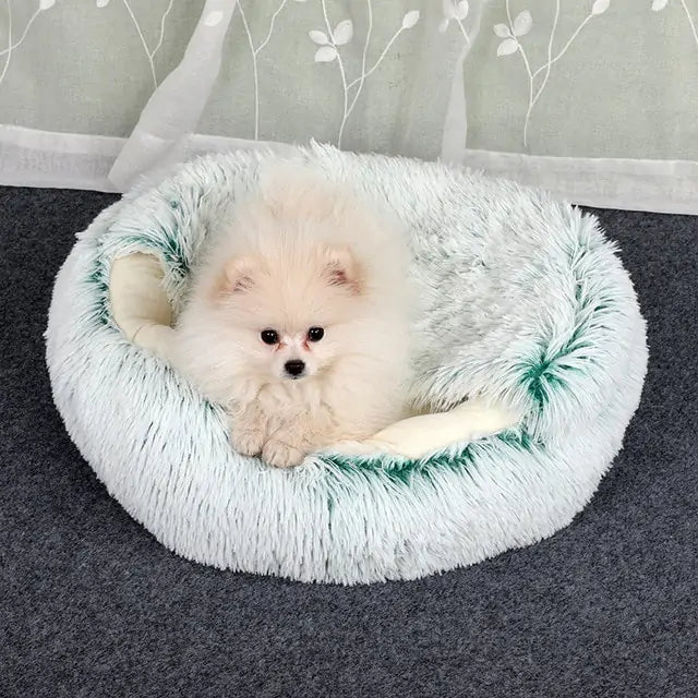 2 In 1 Cozy Cotton Pet Bed