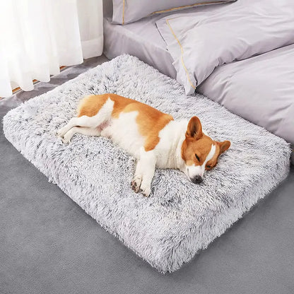 Plush Washable Pet Bed