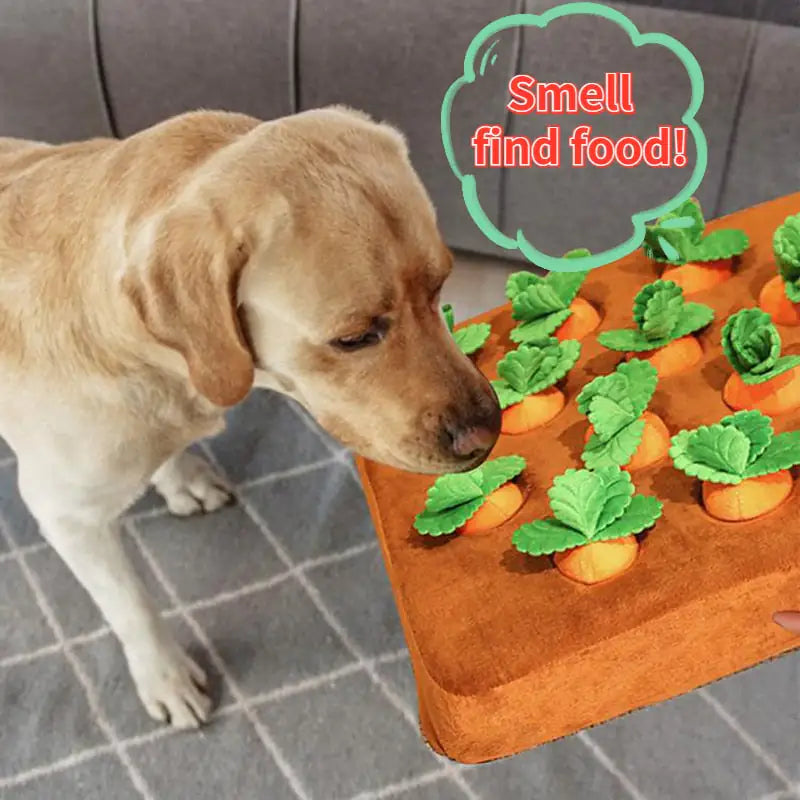 Pet Chew Toy With Treats Game