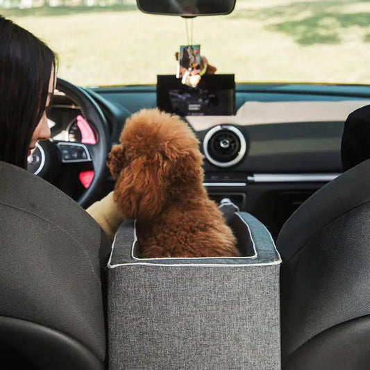 Pet Safety Carp Seat With Storage